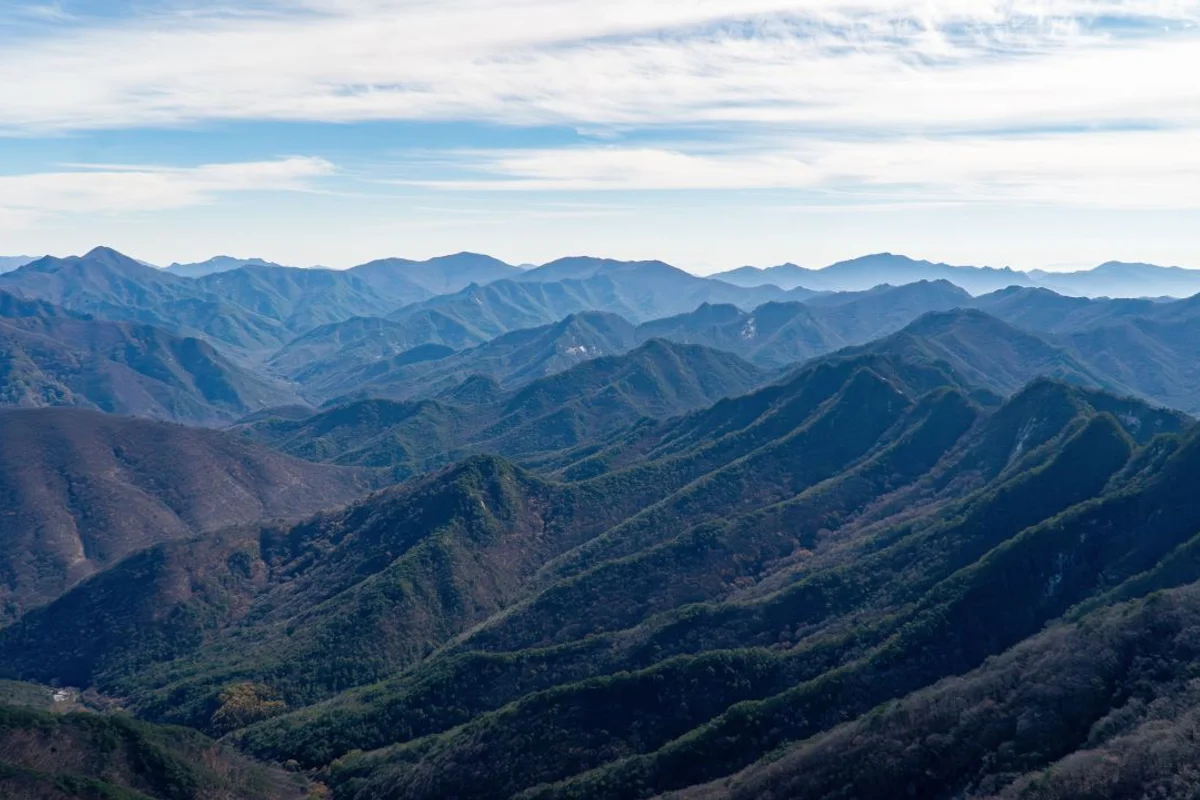 측백숲으로 - 월악산일출 여행