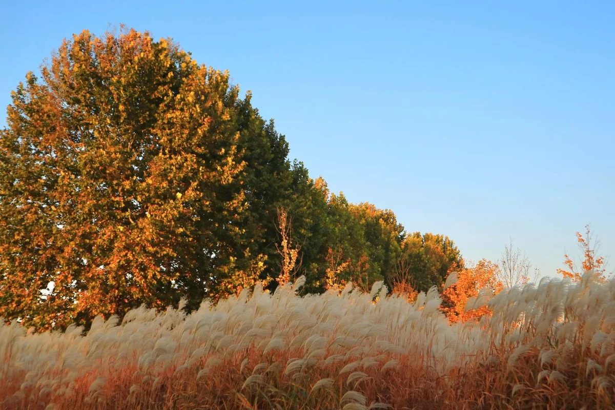 화성행궁 - 탑동 전통시장 여행