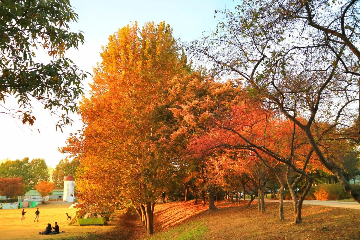 국립농업박물관 - 탑동 전통시장 여행