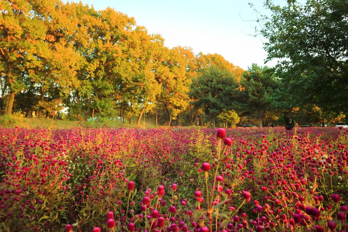 여기산공원 - 탑동 전통시장 여행