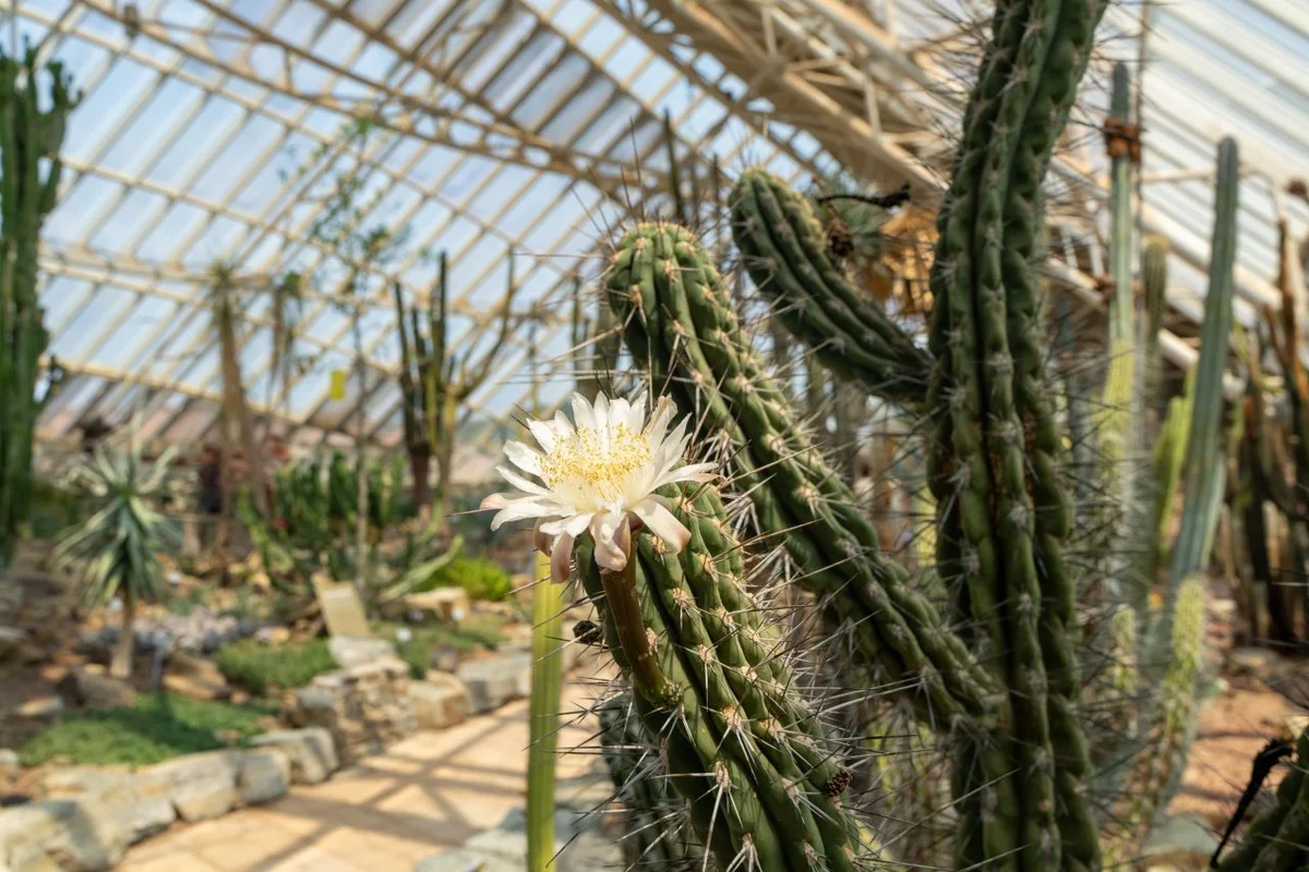 서천해양글램핑 - 서천캠핑 여행