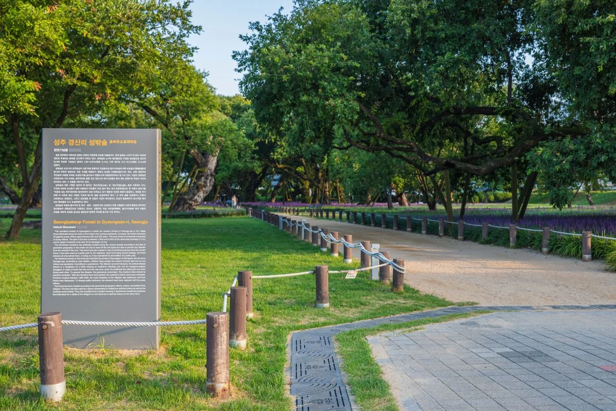 성밖숲 - 성주여행 여행