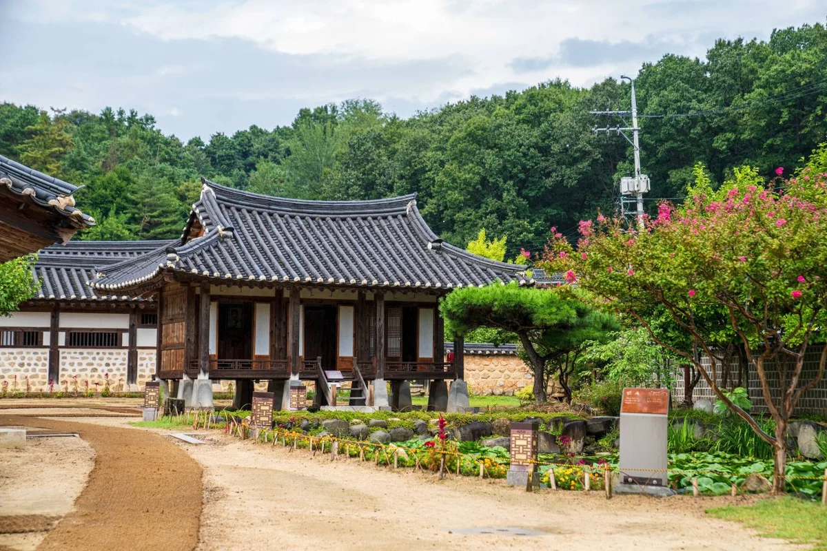 장령산자연휴양림 - 옥천 여행