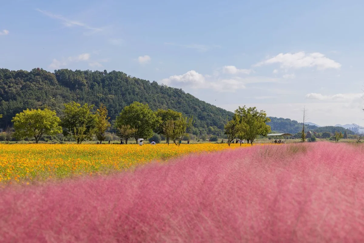 의령군민공원 - 의령여행 여행