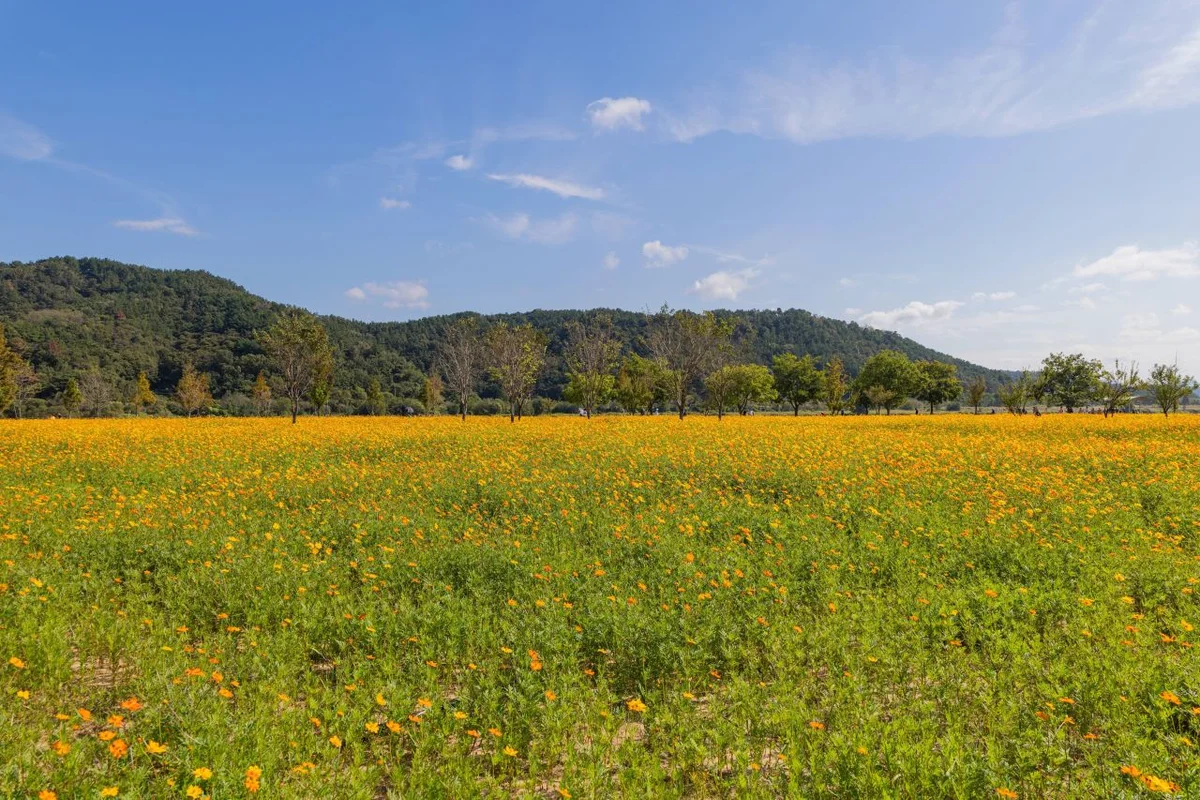 호국의병의숲 친수공원 - 의령여행 여행