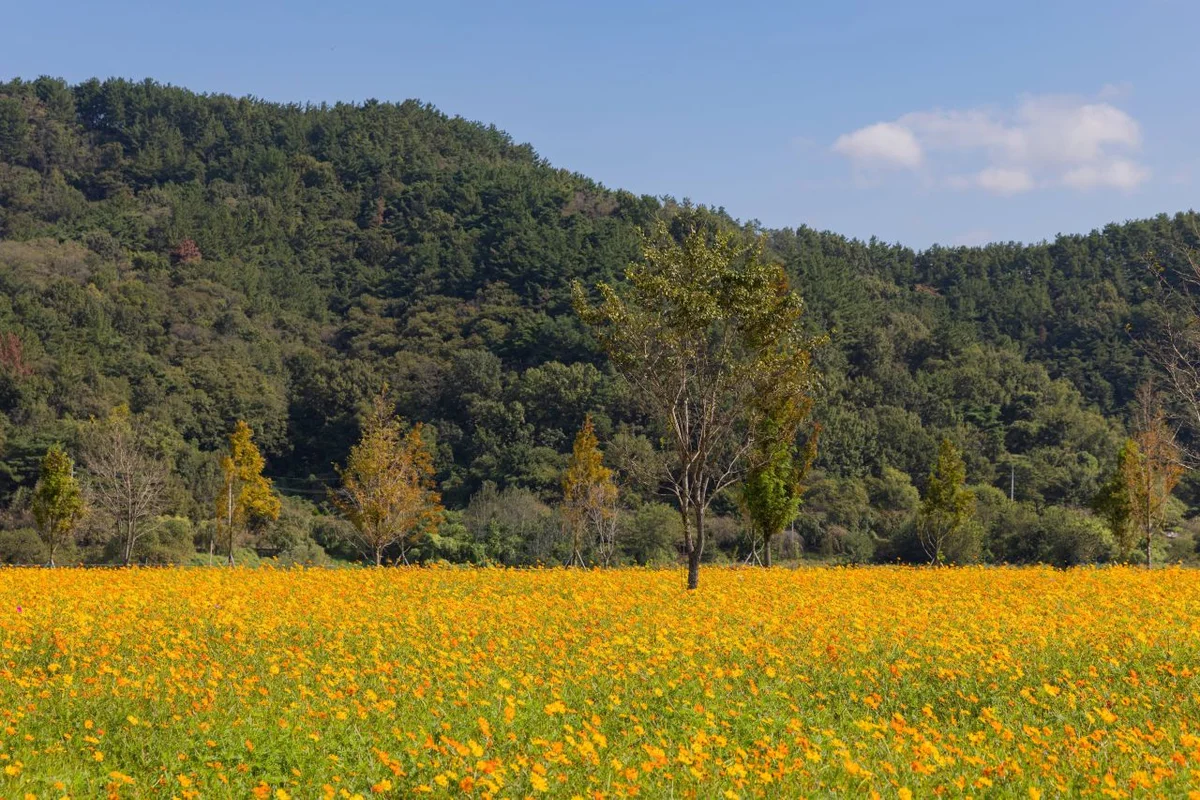 솥바위 - 의령여행 여행