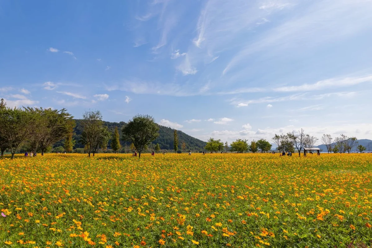 의령곤충생태학습관 - 의령여행 여행