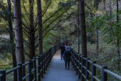 2026 서대문 여행코스 추천, 싱그러운 봄 만끽 명소 BEST 5