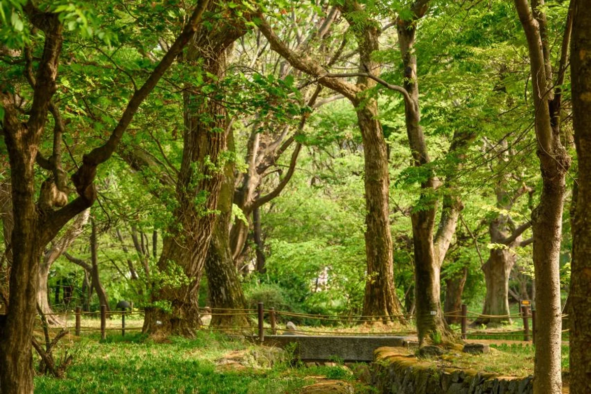 4월 전북 봄나들이 코스 (출처 : 한국관광공사)