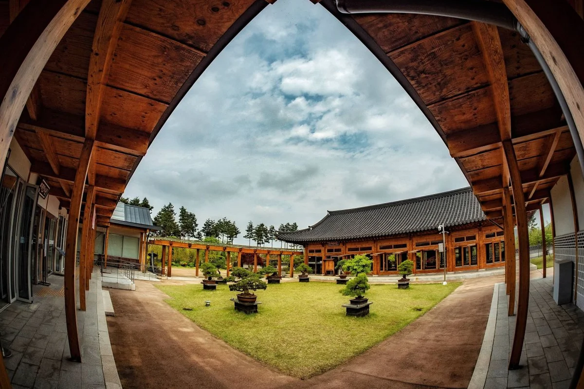 분재원 & 전망대 - 베어트리파크 여행