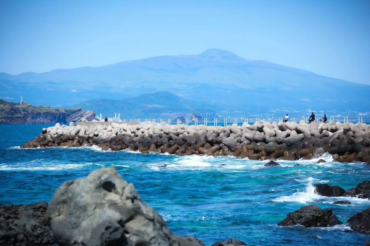 태백 천상의 산나물 축제 - 태백여행 여행