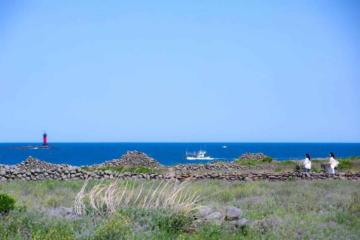 플라잉 수원 - 5월 수원 여행 여행