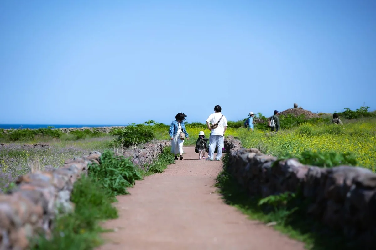 수원 남문시장 - 5월 수원 여행 여행