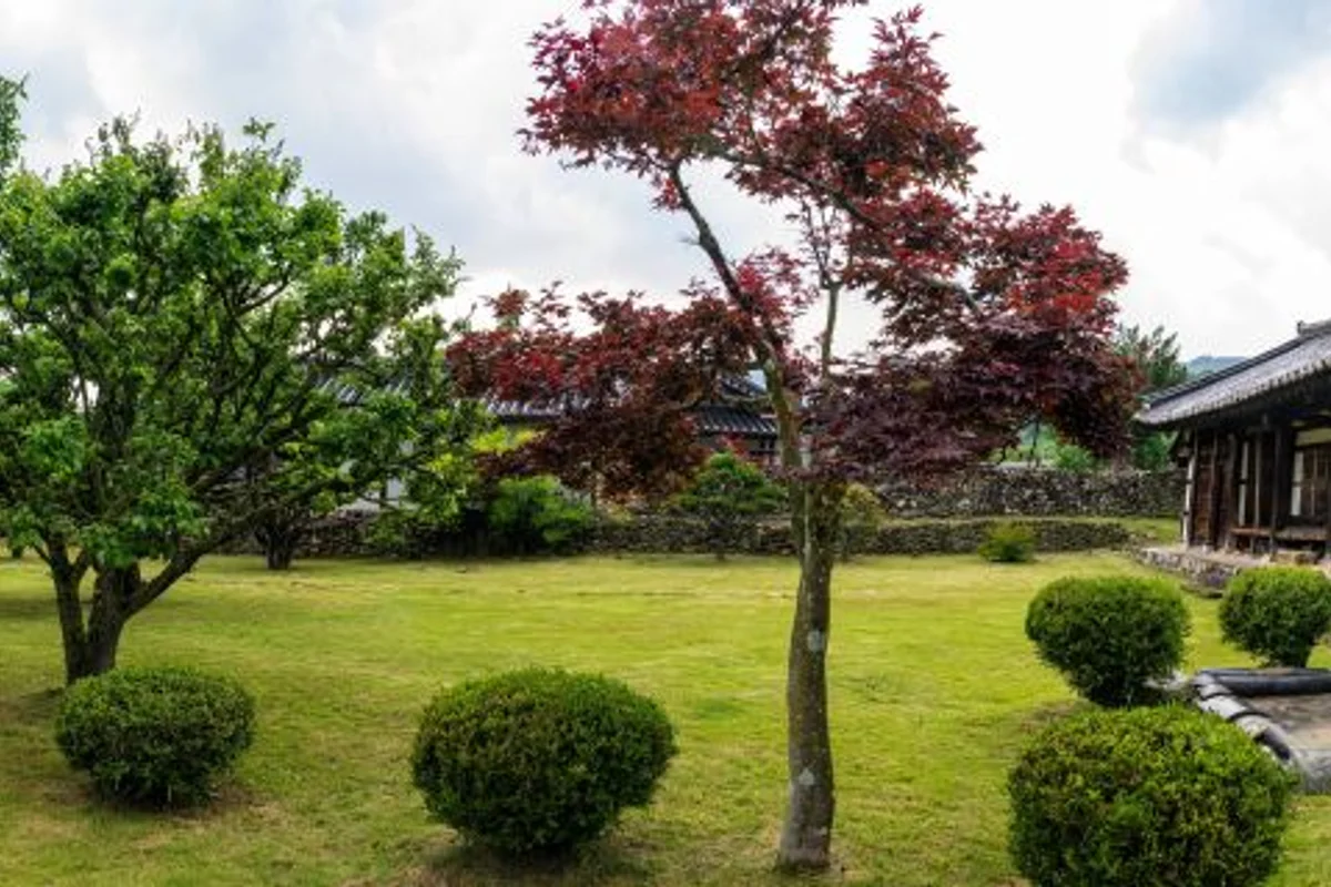 스타웨이하동 - 하동 여행