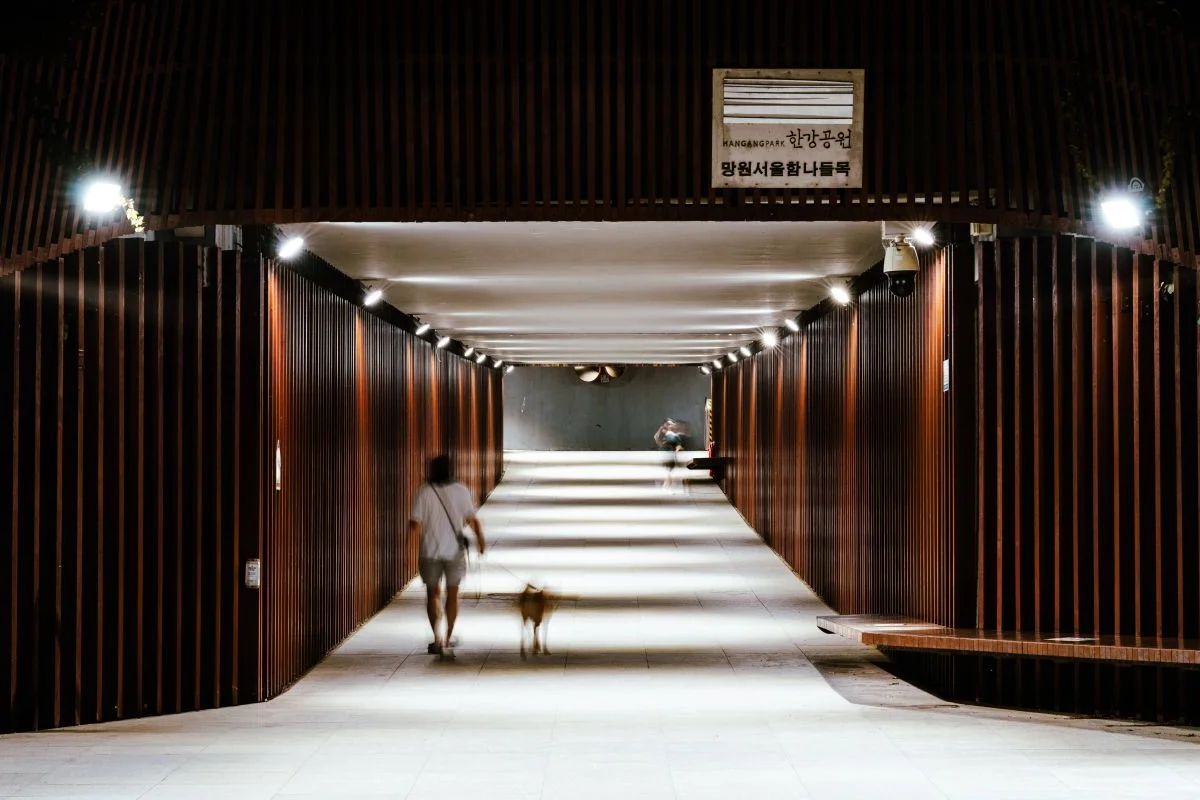 망원 한강공원 - 마포여행 여행