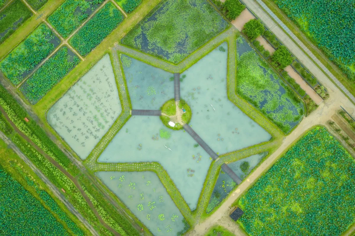 연꽃테마파크 - 시흥여행 여행