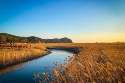 고요한 휴식, 다대포 템플스테이와 함께하는 2026 부산 힐링 여행 6곳
