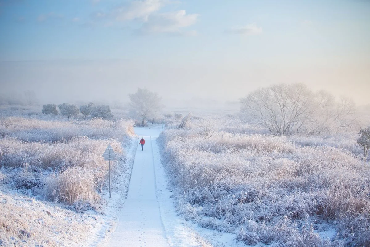 광산구 벚꽃 (출처 : 한국관광공사)
