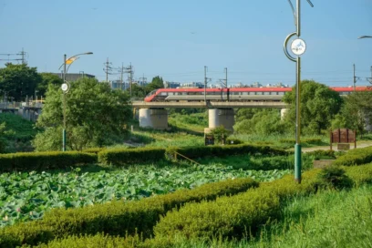 조치원 아이와 함께 2026 봄, 가족 나들이 명소 BEST 5