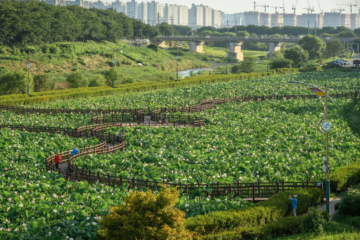 한글놀이터 세종관 - 조치원 여행