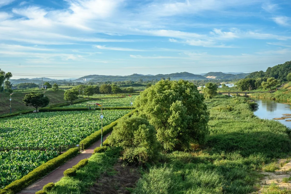 기림목장밀크샵 - 조치원 여행
