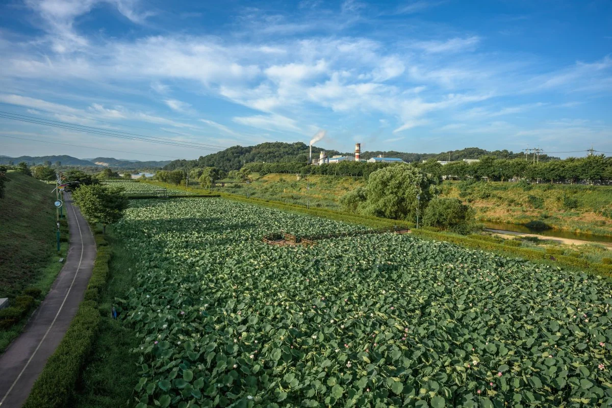 조치원 문화정원 - 조치원 여행
