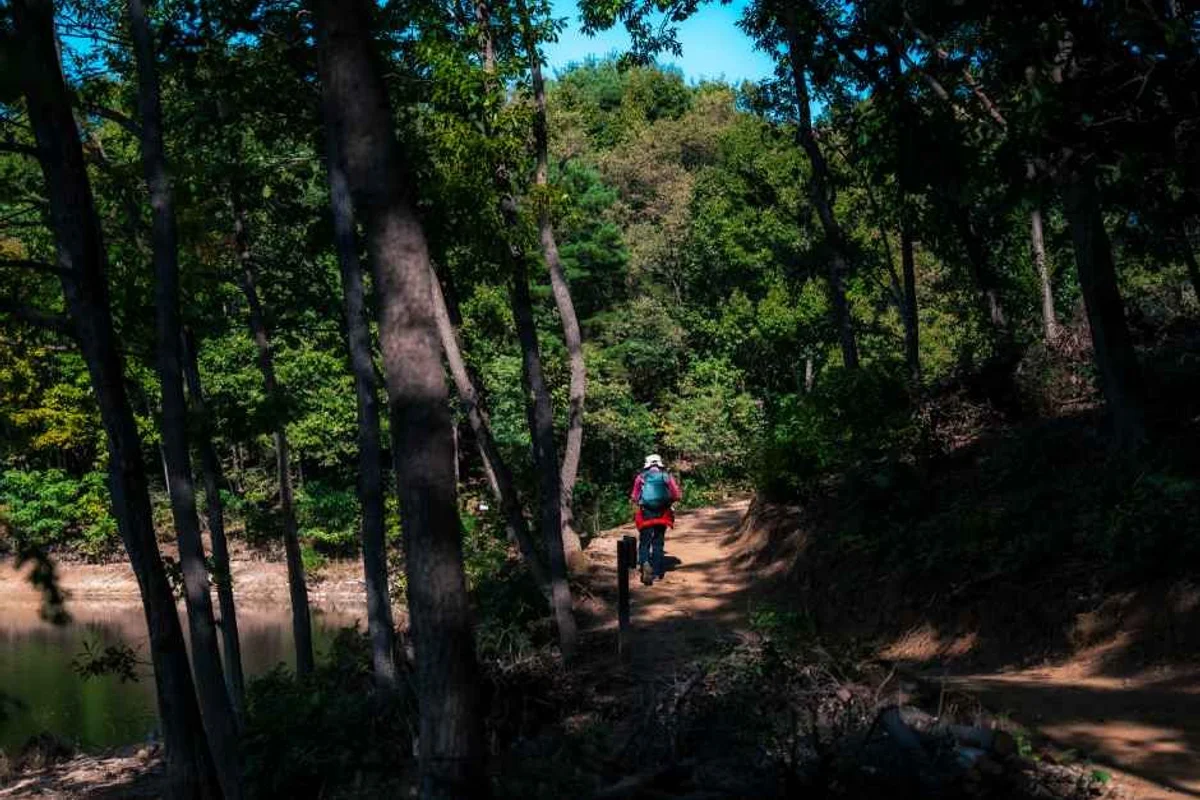 양림문화역사마을 - 광주여행 여행