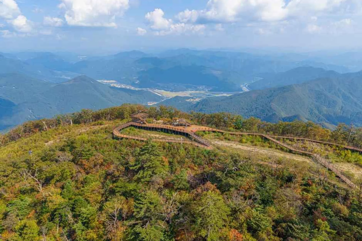 정선아리랑시장 - 정선군 여행