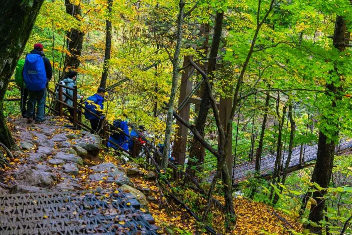 라이프 위드 도그 - 인제 여행 여행