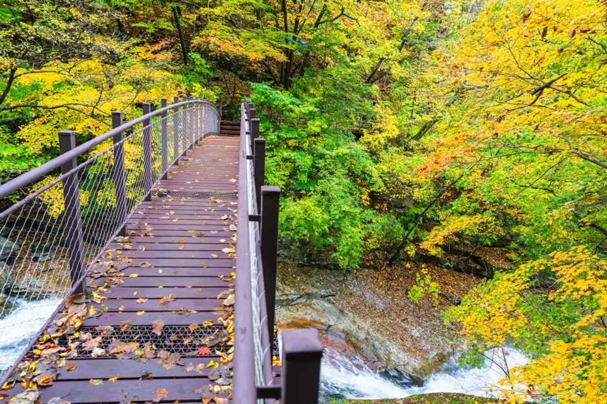 인제나르샤파크 - 인제 여행 여행