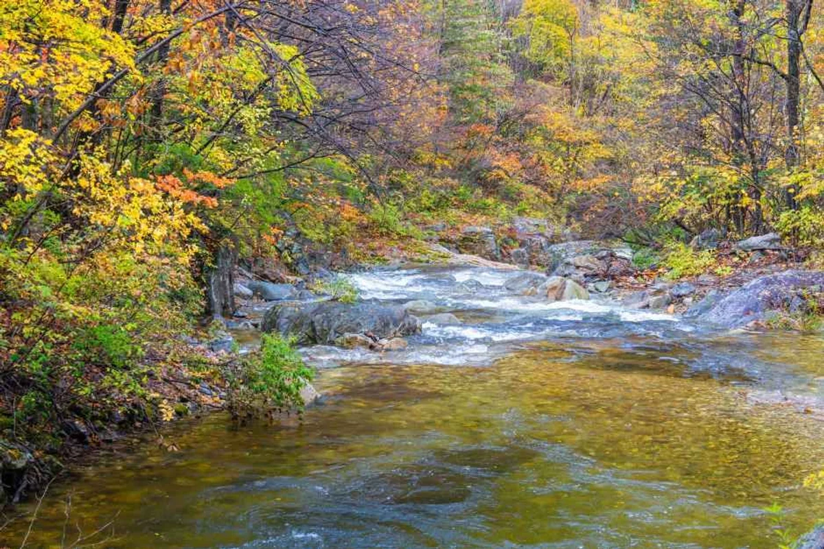 평창 아쿠아리움 (출처 : 한국관광공사)