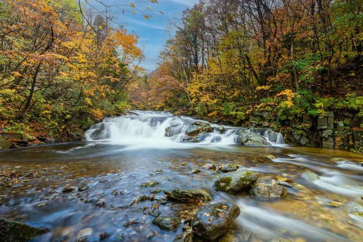 발왕산 관광케이블카 - 평창여행 여행