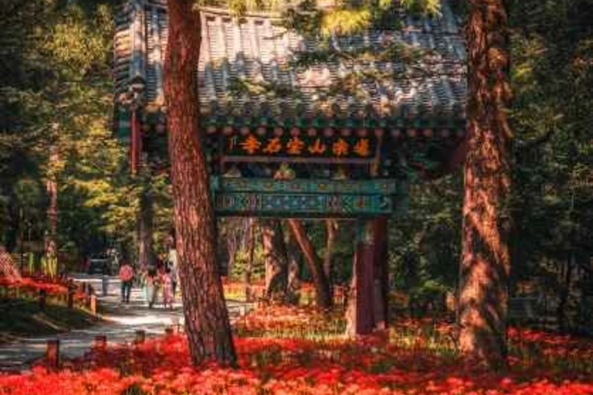 금산군 나들이 (출처 : 한국관광공사)