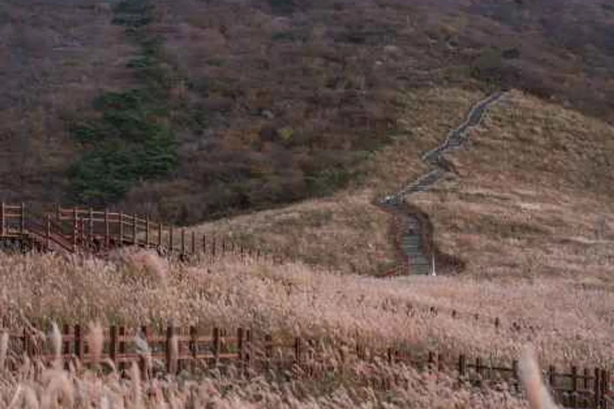 Fe01 재생복합문화공간 - 울주군 여행