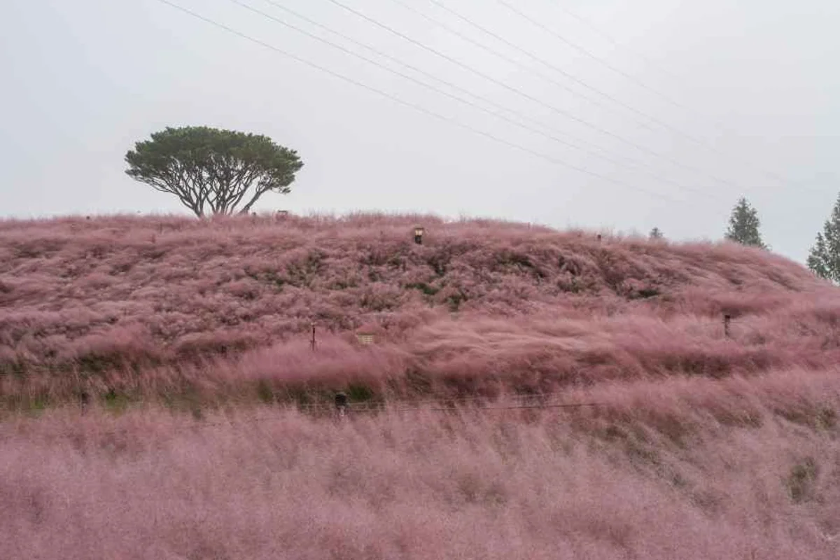 대장경테마파크 - 합천여행 여행