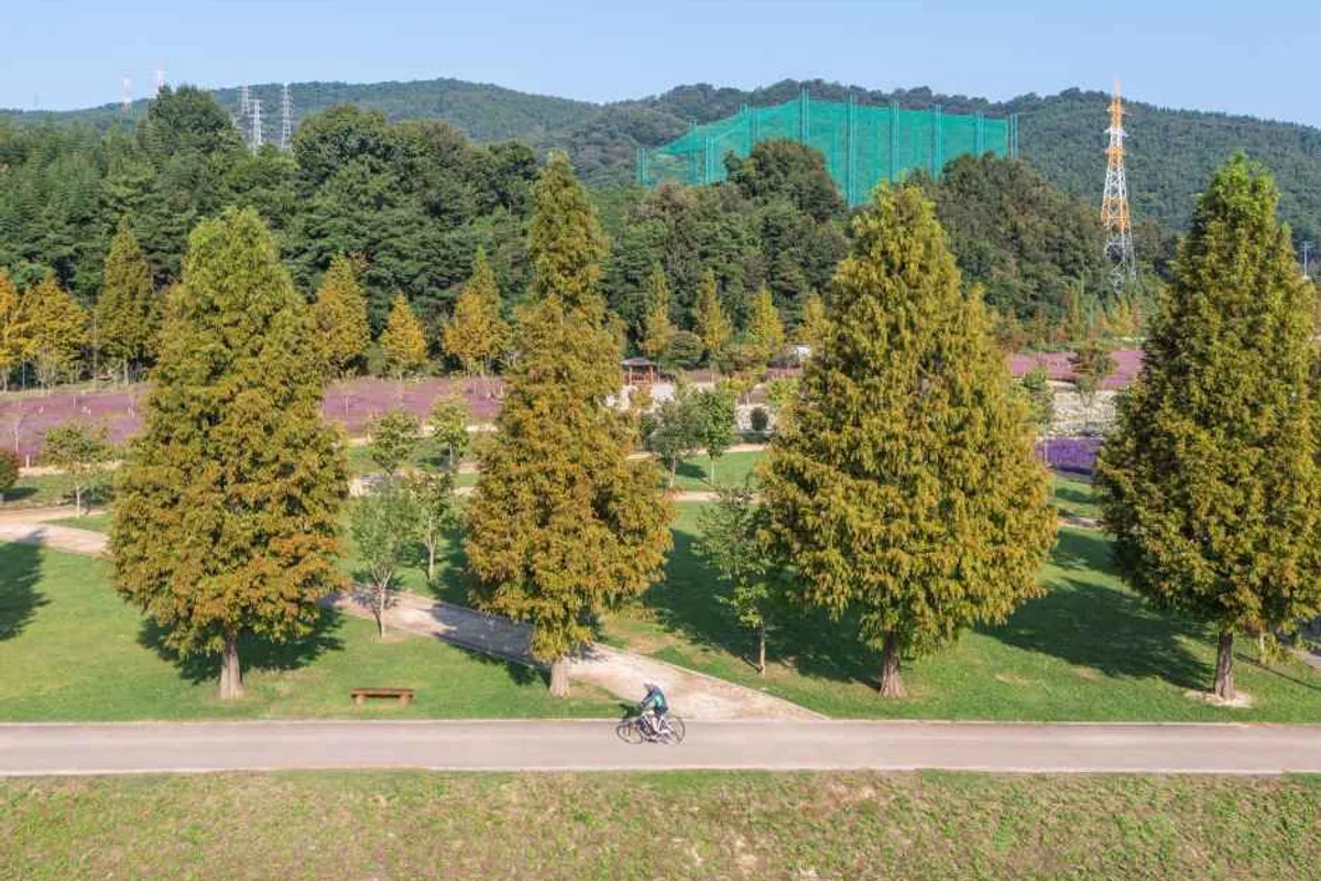 금천구 자전거 도로 - 금천구 여행