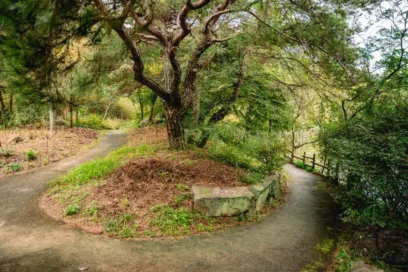 2026년 진주시 관광지 최신 가이드, 꼭 가봐야 할 봄의 명소 5곳