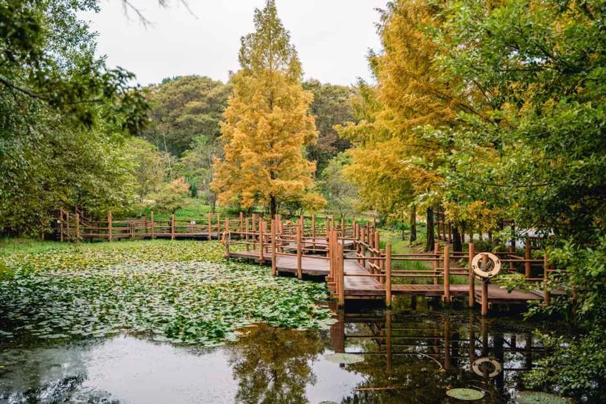경상남도수목원 - 진주시 여행