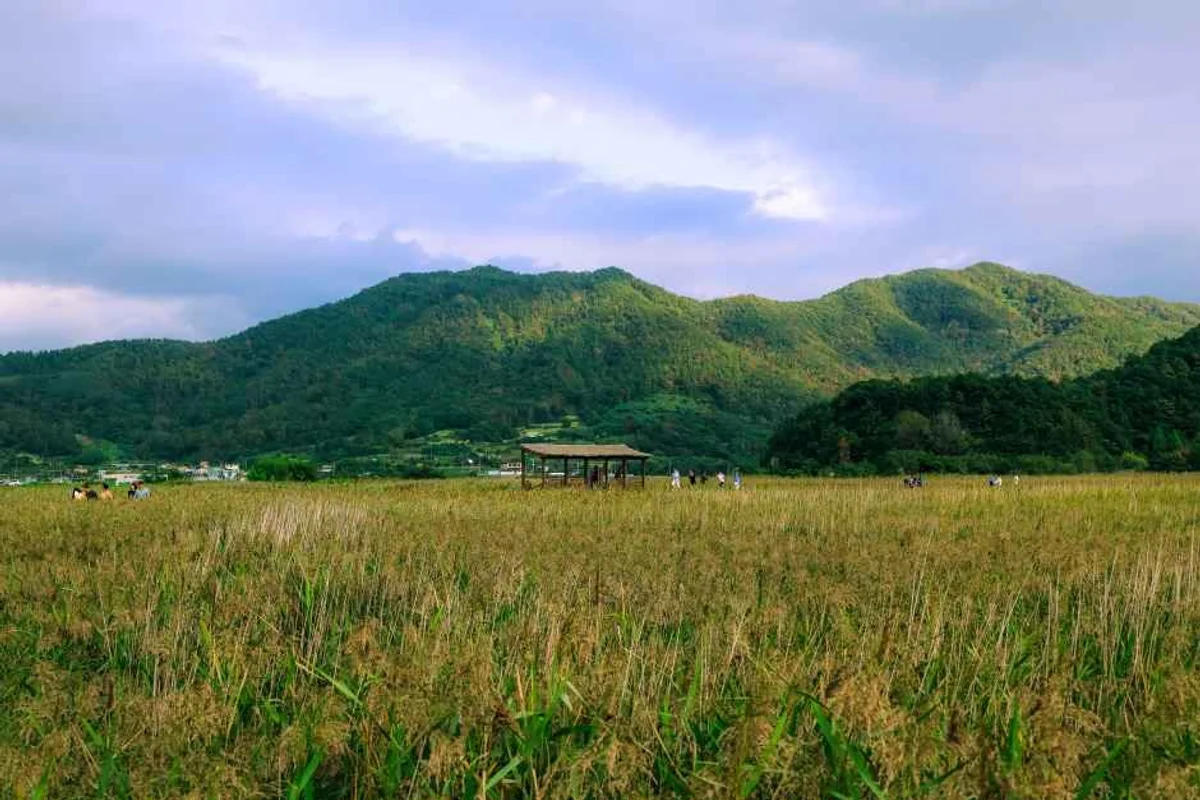 순천만습지 - 순천만습지캠핑 여행