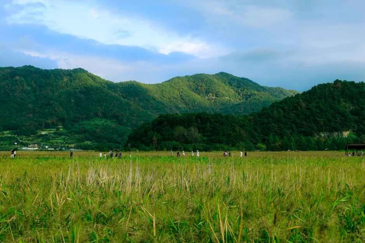 순천만습지천문대 - 순천만습지캠핑 여행
