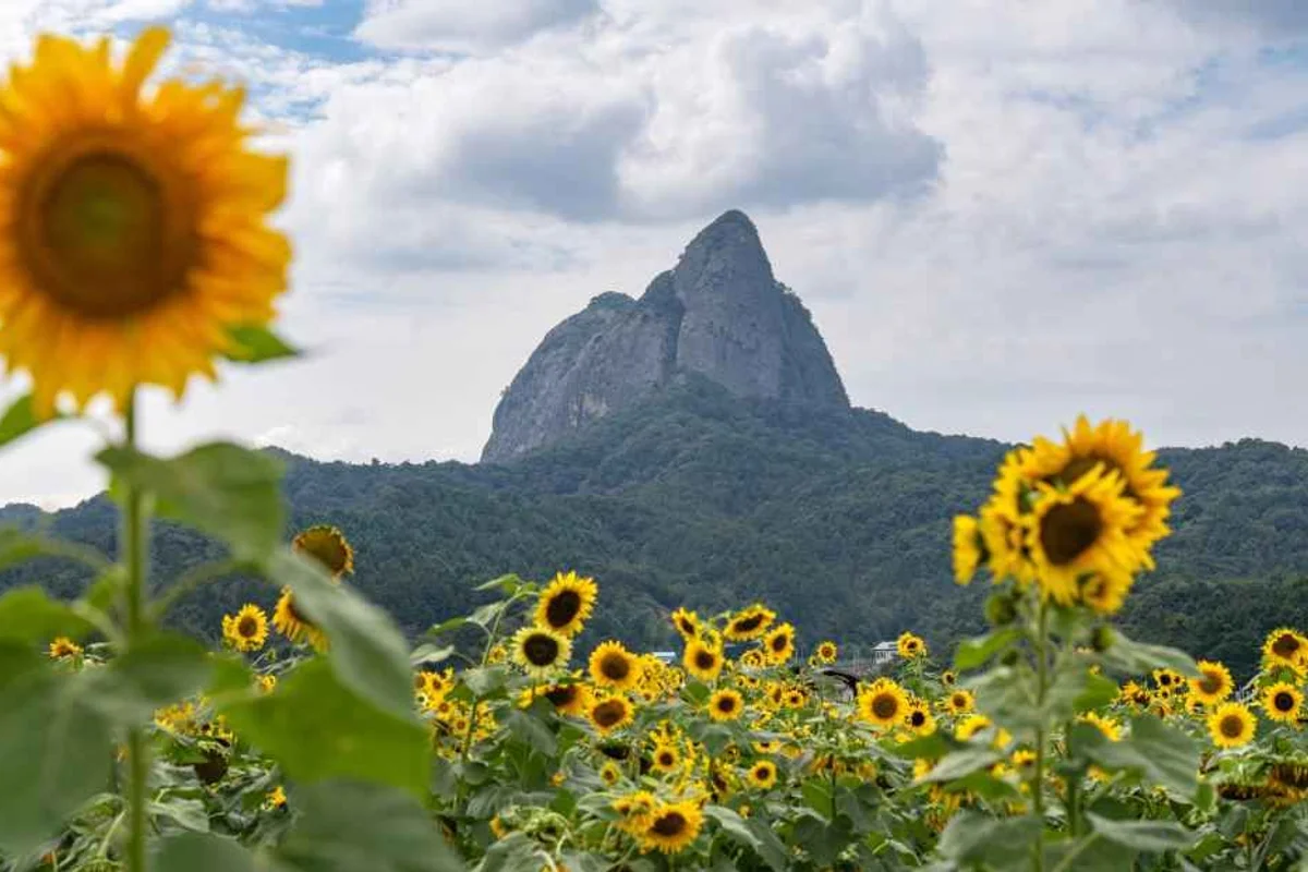 진안창작공예공방 - 마이산 여행