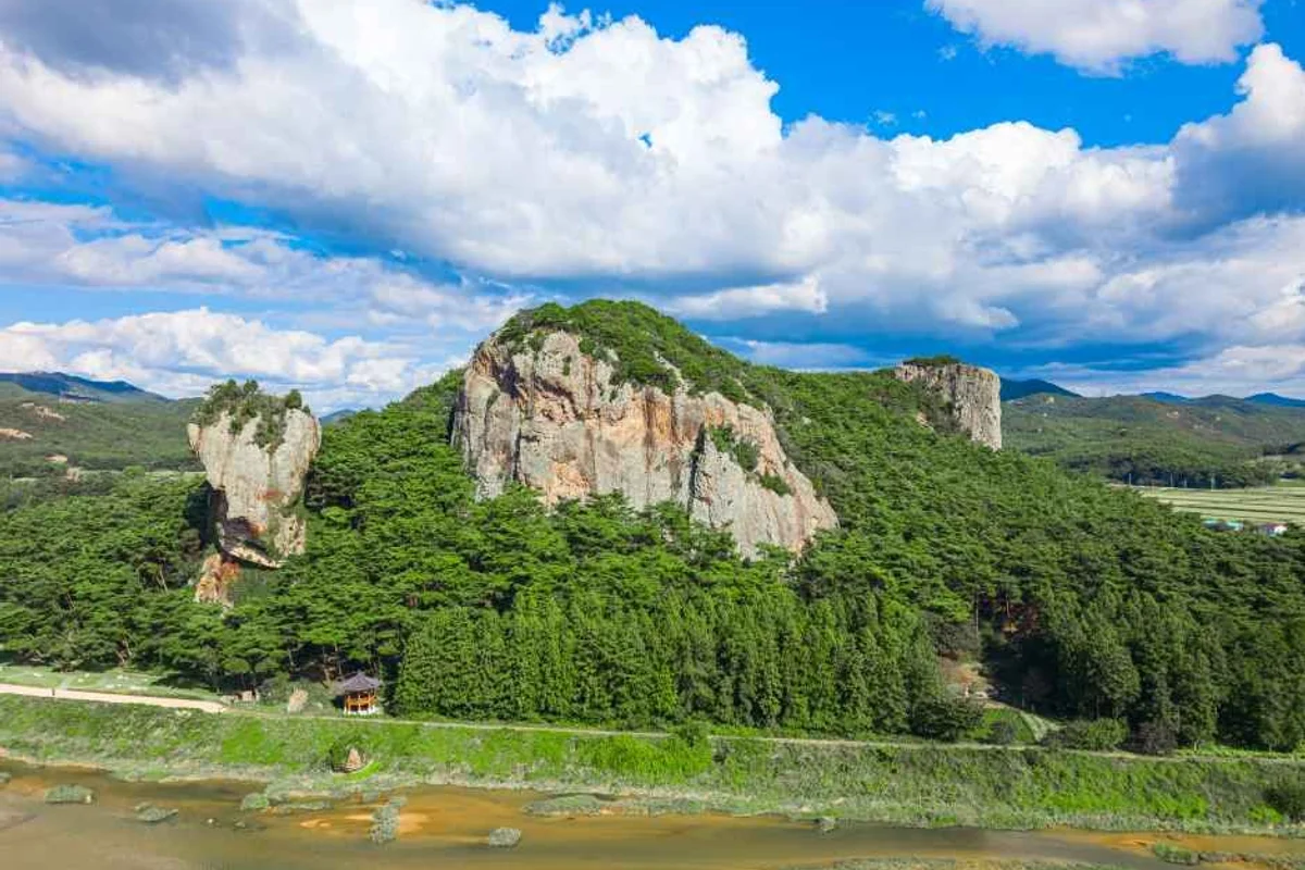 여의도한강공원서울색공원 - 서울 데이트 여행