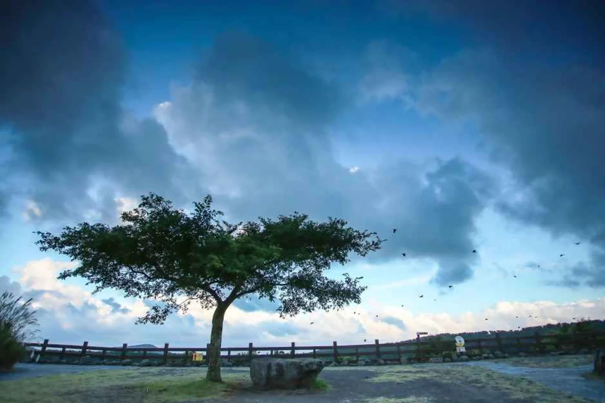 아르떼뮤지엄 제주 - 제주도서쪽 여행