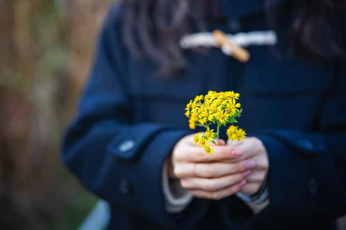 하늘공원 - 상암여행 여행