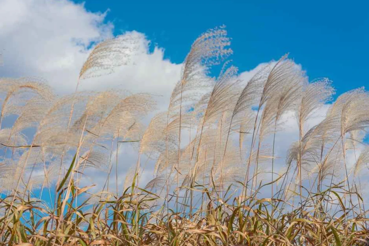 홍대향수공방 뤼미에르퍼퓸 연남 - 마포구여행 여행
