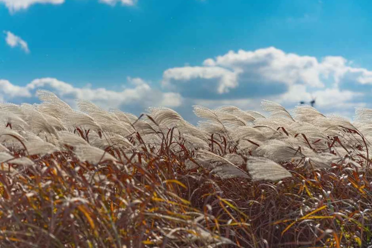 레드로드 - 마포여행 여행