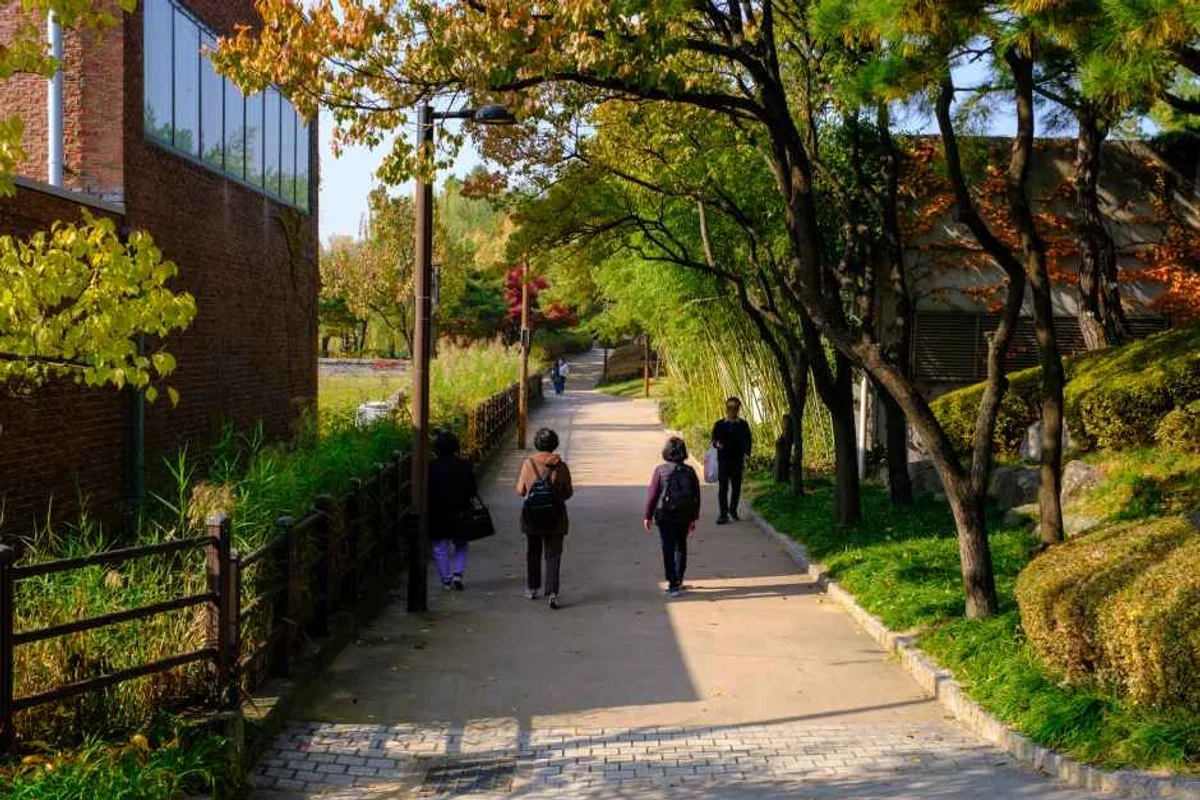 여의도 샛강생태공원 - 영등포구 여행