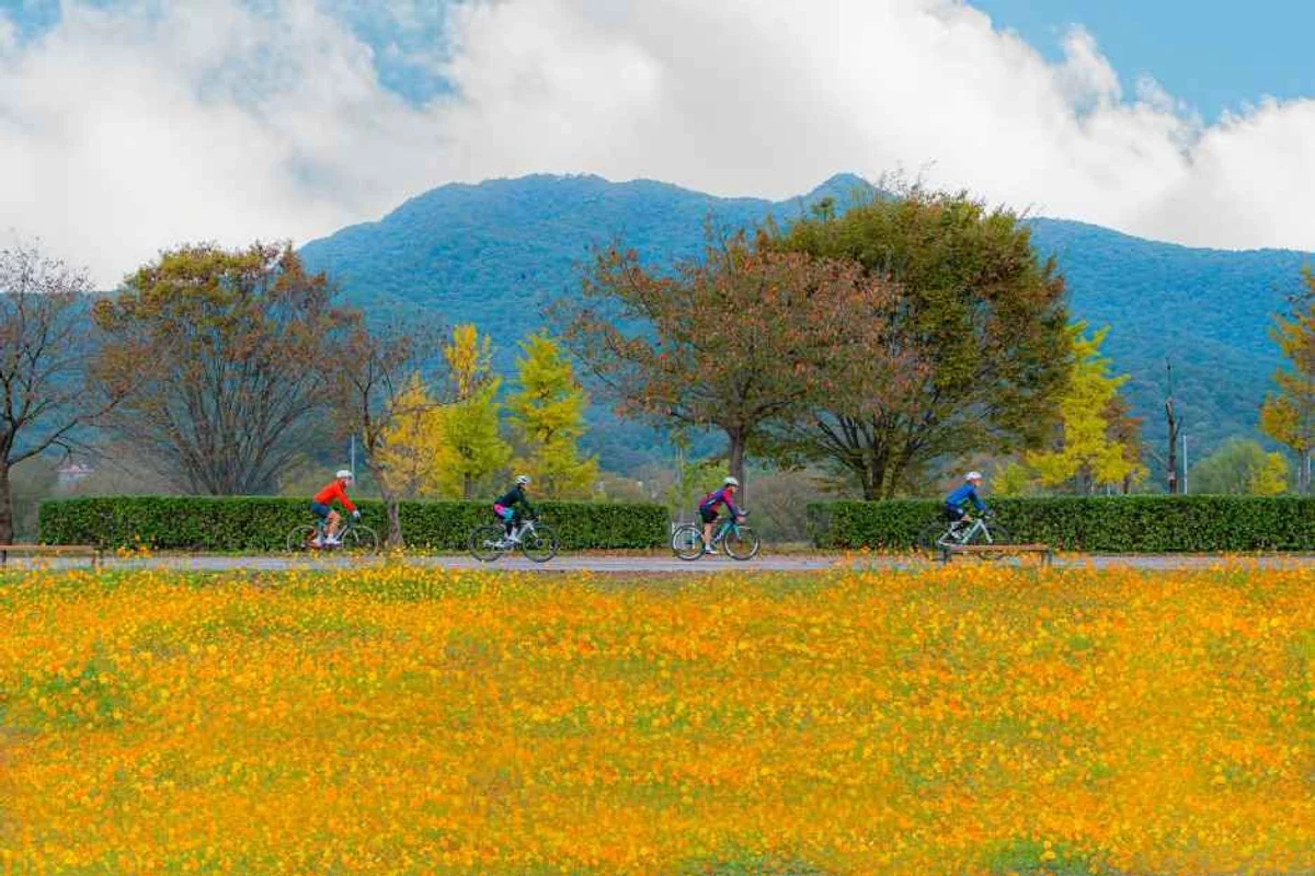 금천구 자전거 도로 (출처 : 한국관광공사)
