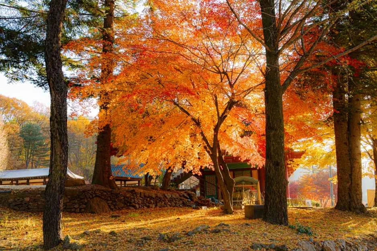 물맑음수목원 - 남양주 여행