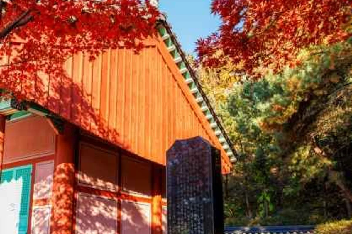 농협경제지주 안성팜랜드 - 안성 여행